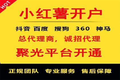 探索专业SEM托管的未来趋势与成功案例